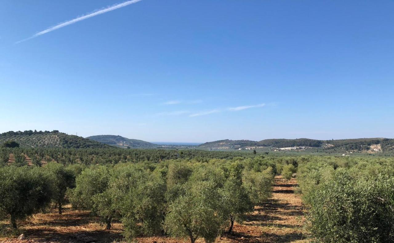 Borgo Rosoli Vieste Buitenkant foto