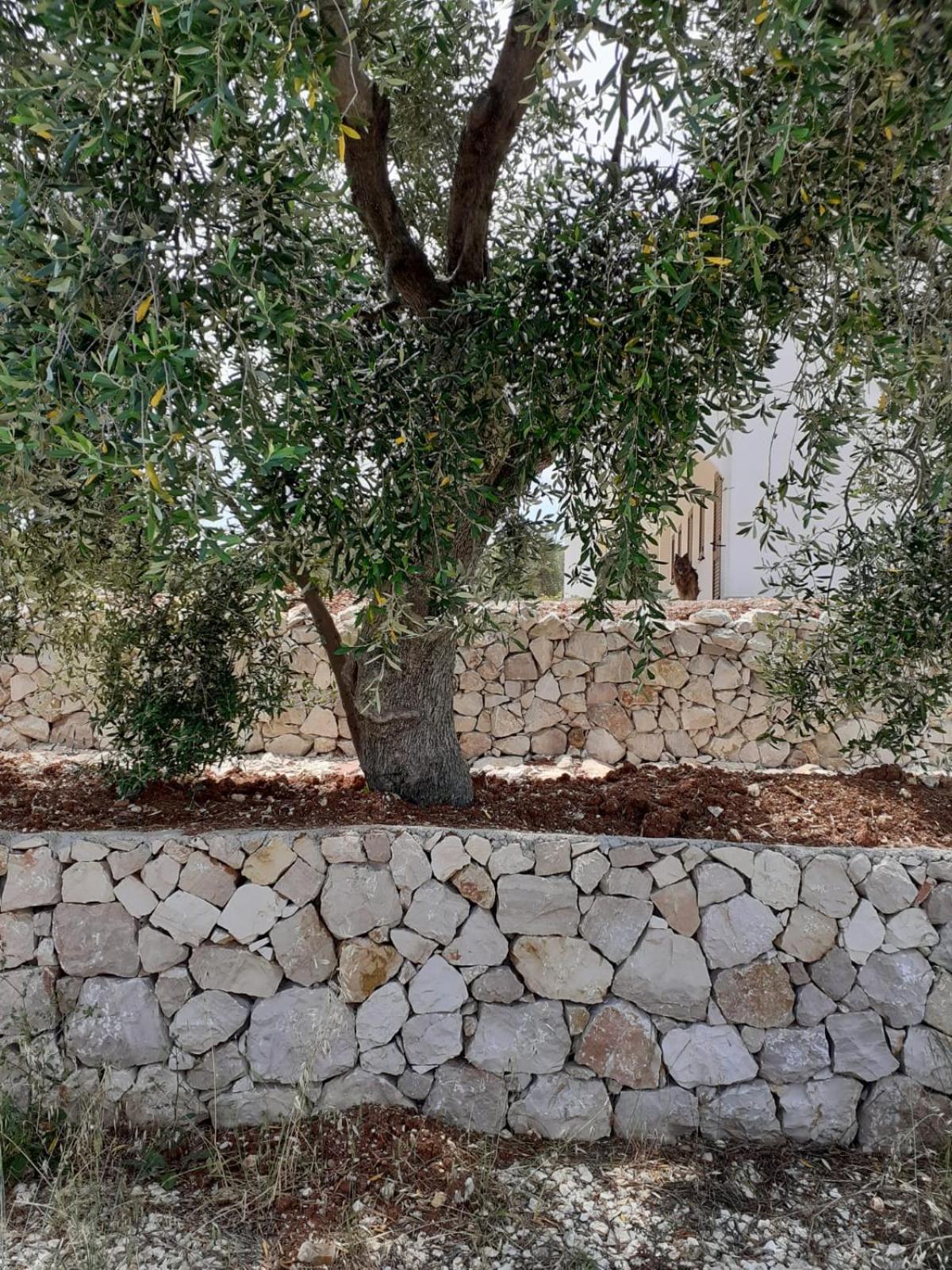 Borgo Rosoli Vieste Buitenkant foto