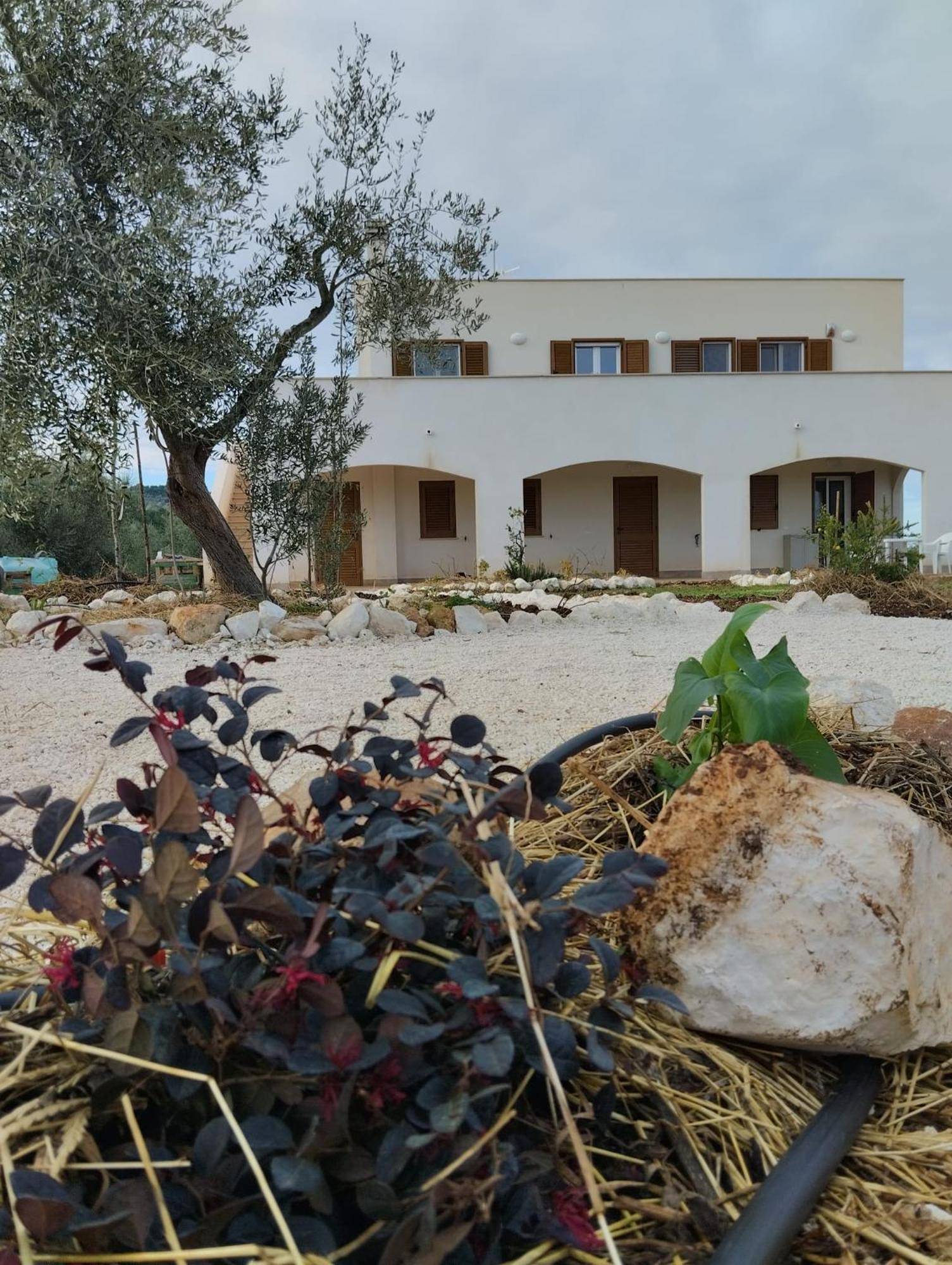 Borgo Rosoli Vieste Buitenkant foto