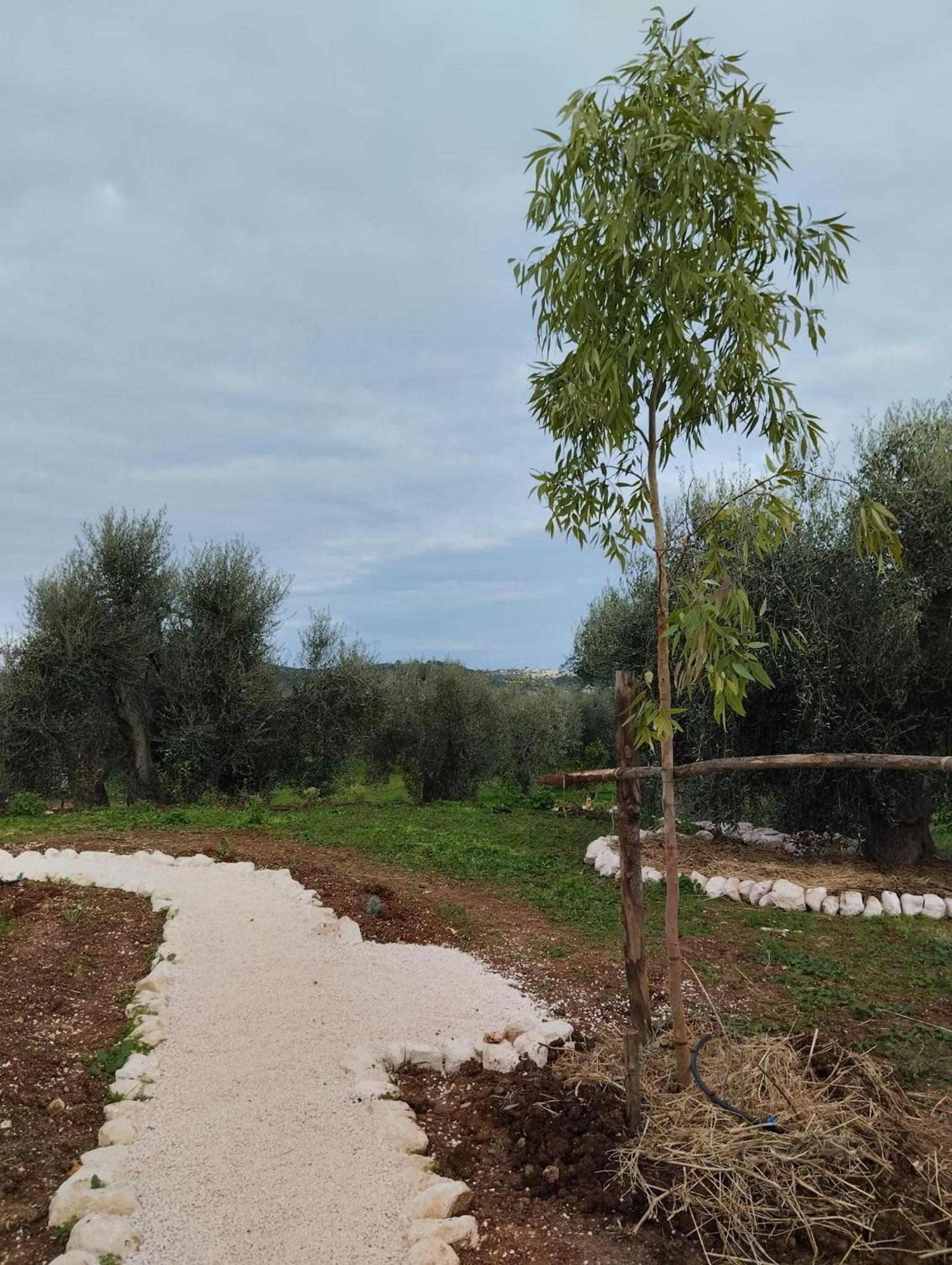 Borgo Rosoli Vieste Buitenkant foto