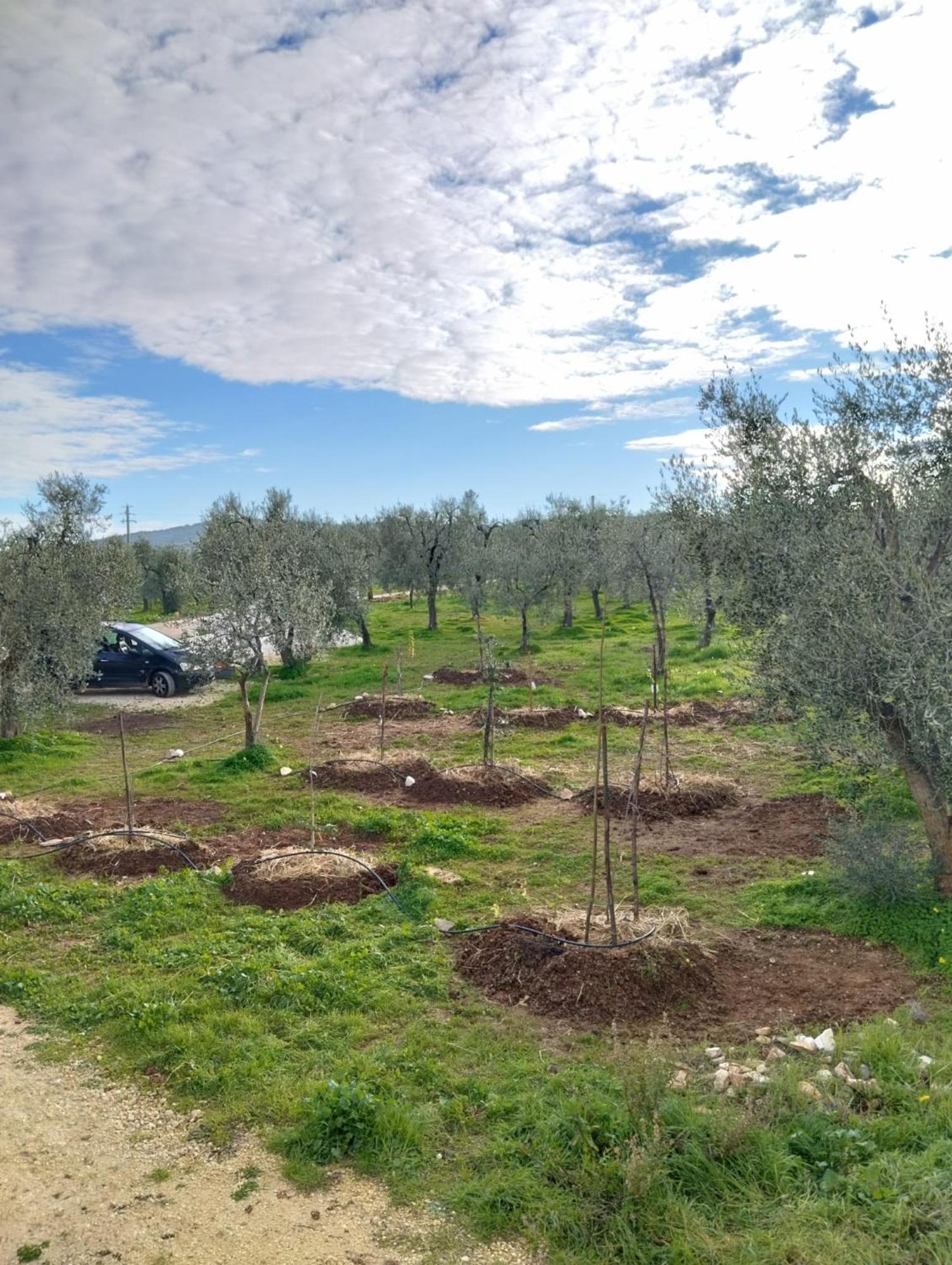 Borgo Rosoli Vieste Buitenkant foto